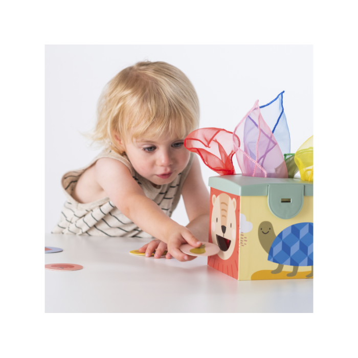 Taf Toys Magic box