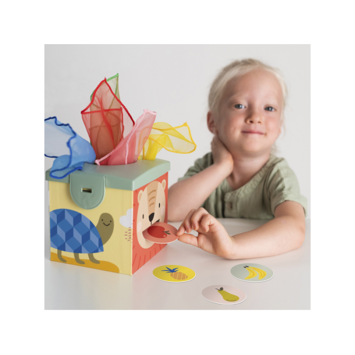 Taf Toys Magic box