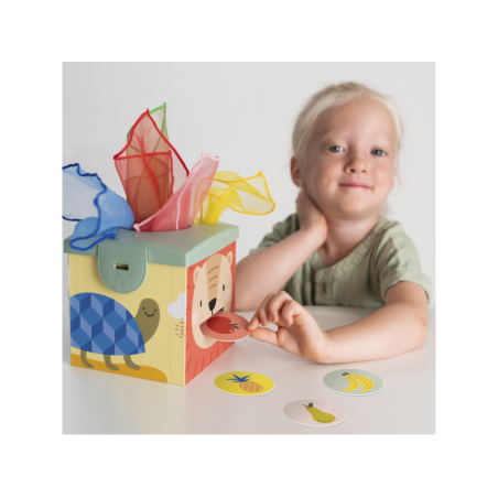 Taf Toys Magic box
