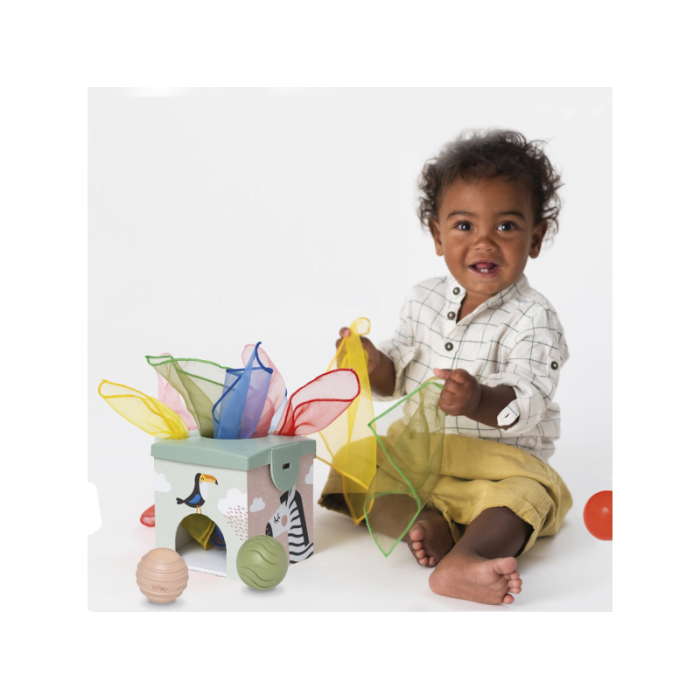 Taf Toys Magic box