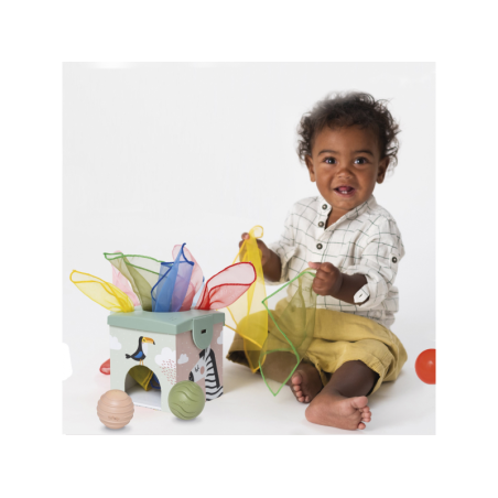 Taf Toys Magic box